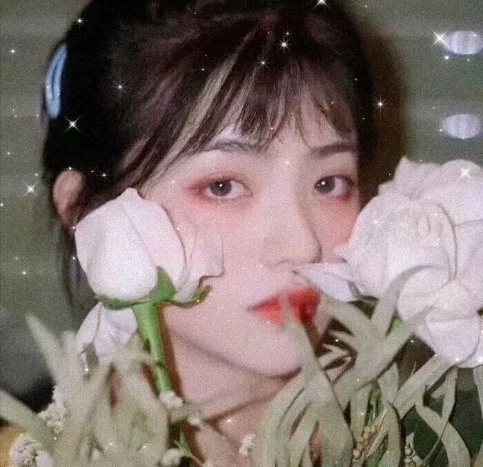 魔术师：不可能的生活